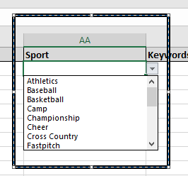 Exporting JSON data from your ASP .Net Web API to a Microsoft Excel Spreadsheet using Macro Programming